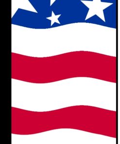 38'' x 138'' Pat Eagle Horiz Swooper Flag