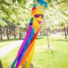 Rainbow Sun 40" Windsock, Rainbow Sun Windsock, Sunny Rainbow Windsock
