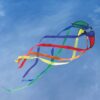 Rainbow 12" Orbiter Star Windsocks