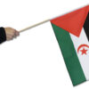 Saharan Arab Dem 12"x18" Stick Handheld Flag