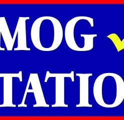 3' x 10' Smog Station Test Only Banner