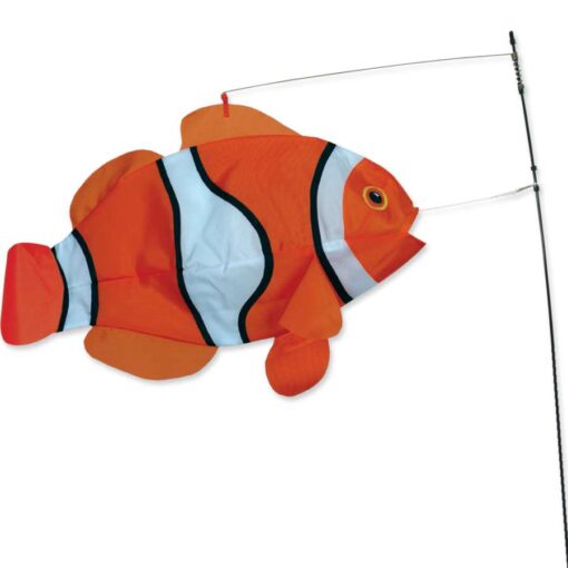 Swimming Clown Fish, Clown Fish Swimming
