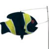 Swimming Fish - Damsel Fish, Damsel Fish - Swimming Fish