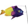 Swimming Fish - Fairy Basslet