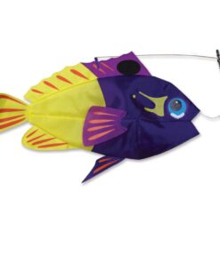Swimming Fish - Fairy Basslet