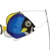 Swimming Fish - Powder Surgeon