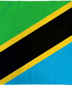 Tanzania 3x5' Poly Flags