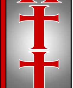 38'' x 138'' Tattoo blk grd red Swooper Flag