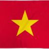 Vietnam Poly 2'x3' Flag