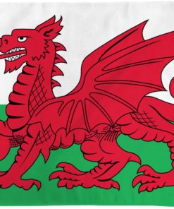 Wales Flag 2x3ft Poly