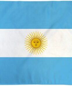 Argentina 2ft x 3ft Nylon Flag with Seal, Argentina Government 2ft x 3ft Nylon Flags
