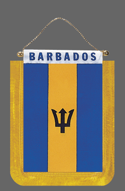 Barbados Mini Banner