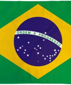 Brazil 2ft x 3ft Nylon Flag with Seal, Brazil Government 2ft x 3ft Nylon Flags
