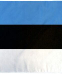 Estonia 2ft x 3ft Nylon Flag with Seal, Estonia Government 2ft x 3ft Nylon Flags