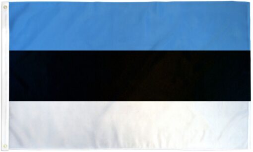 Estonia 2ft x 3ft Nylon Flag with Seal, Estonia Government 2ft x 3ft Nylon Flags