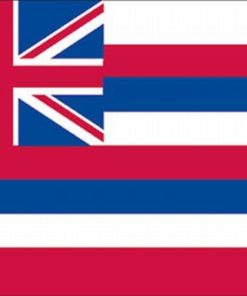 Hawaii 4'x6' Ply-2 Flag