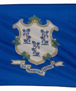 Connecticut 5'x8' Nylon Flag