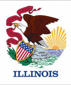 Illinois 8'x12' Applique Nylon Flag