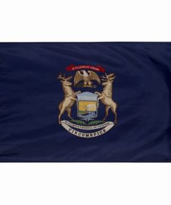 Michigan 5'x8' Nylon Flag