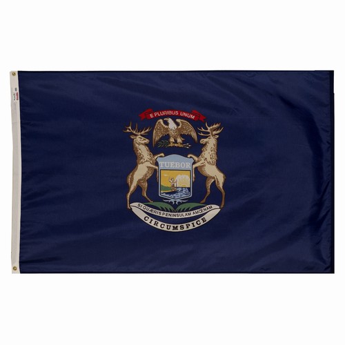 lg1_000511 Michigan 6'x10' Nylon Flag - Image 1