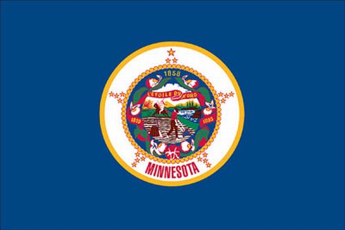 lg1_000520 Minnesota 8'x12' Applique Nylon Flag - Image 1