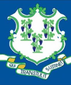 Connecticut 4"x6" Stick Flag