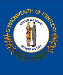Kentucky 4"x6" Stick Flag