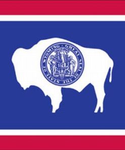 Wyoming 4"x6" Stick Flag