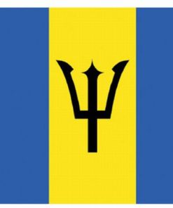 Barbados 2'x3' Nylon Flag