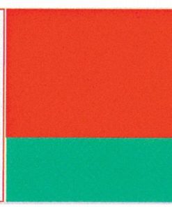 Belarus 3'x5' Nylon Flag