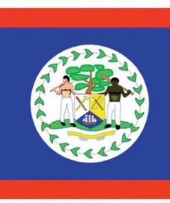 Belize 3'x5' Nylon Flag