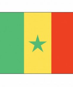 Cameroon 3'x5' Nylon Flag