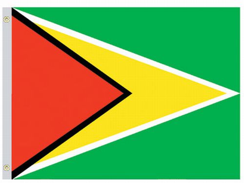 lg1_001234 Guyana 2'x3' Nylon Flag - Image 1