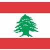 3'x5' Lebanon Nylon Flags for Sale 100% American Made, 3 x 5' Nylon Lebanon Flag, Lebanon 3'x5' Nylon Flag