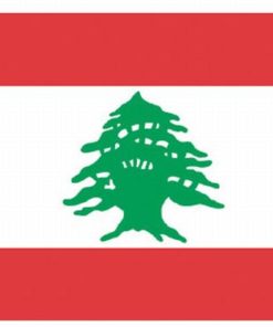 3'x5' Lebanon Nylon Flags for Sale 100% American Made, 3 x 5' Nylon Lebanon Flag, Lebanon 3'x5' Nylon Flag
