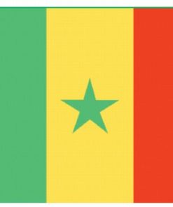 Senegal 5'x8' Nylon Flag