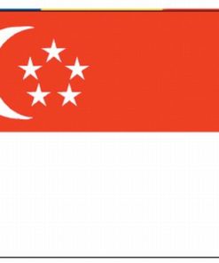 Singapore 4'x6' Nylon Flag