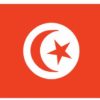 Tunisia 4'x6' Nylon Flag