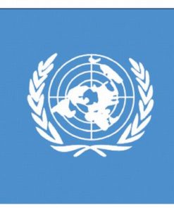 United Nations 4'x6' Nylon Flag