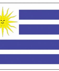 Uruguay 4'x6' Nylon Flag