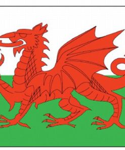 Wales 2'x3' Nylon Flag