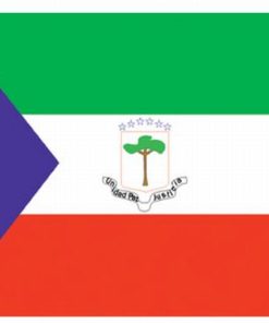 Equatorial Guinea 4"x6" Stick Flag