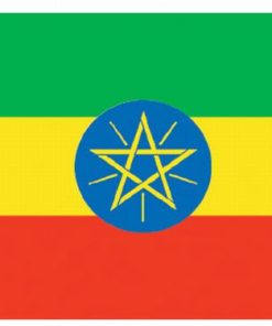 Ethiopia 4"x6" Stick Flag