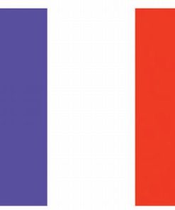 France 4"x6" Stick Flag