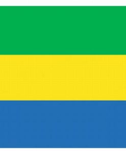 Gabon 4"x6" Stick Flag