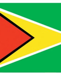 Guyana Stick Flag