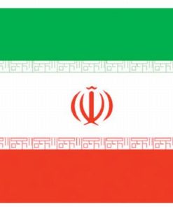Iran 4"x6" Stick Flag