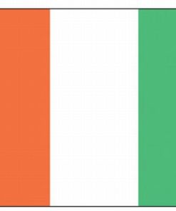 Ivory Coast Stick Flag