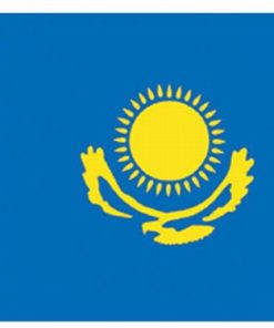Kazakhstan 4"x6" Stick Flag