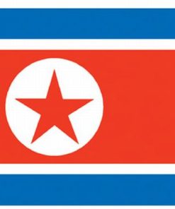 Korea North 4"x6" Stick Flag